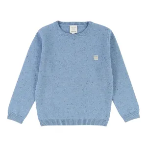 Boys Wool Slub Knit Sweater