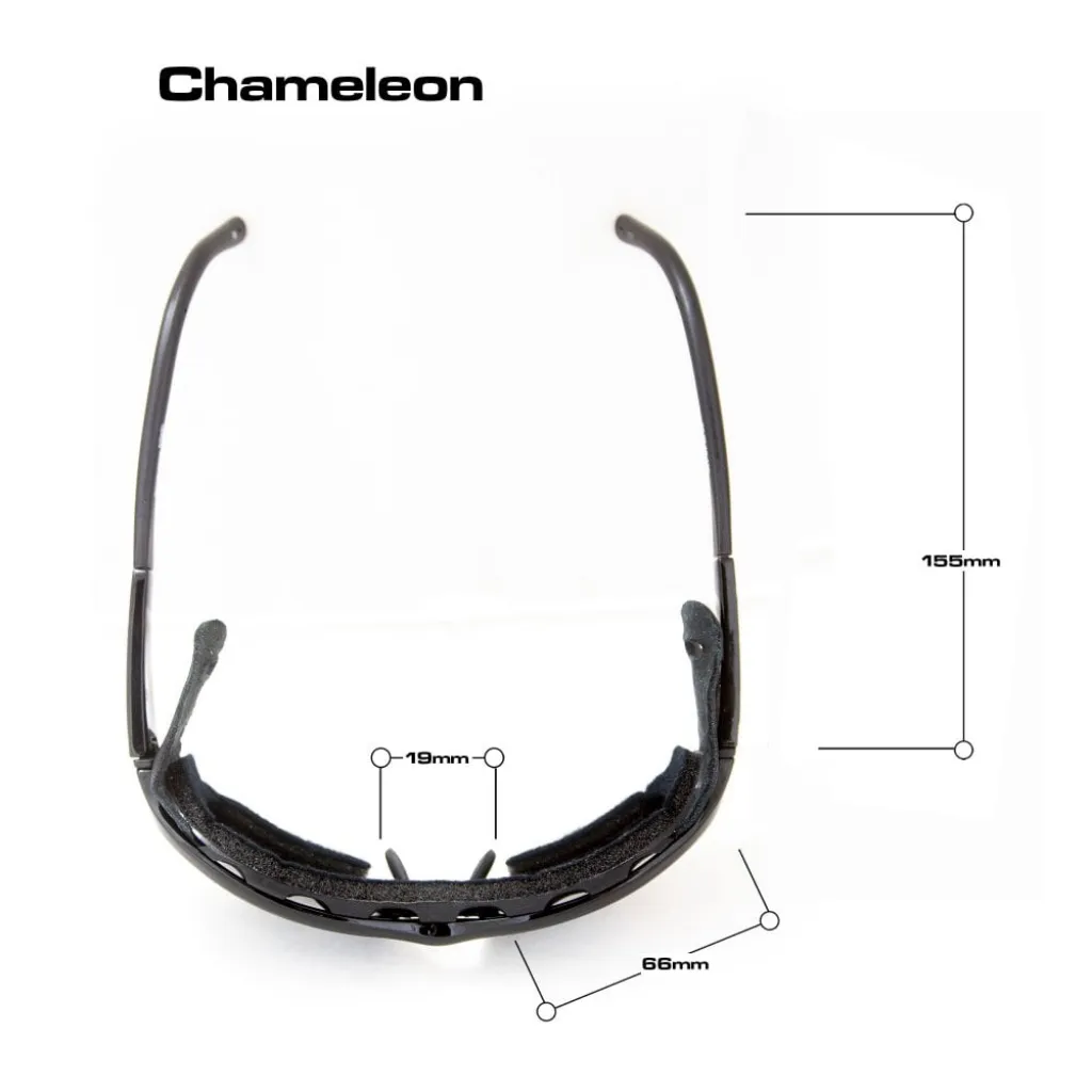 Chameleon