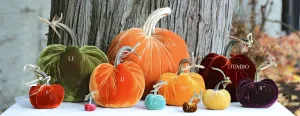 Hot Squash: Pumpkins