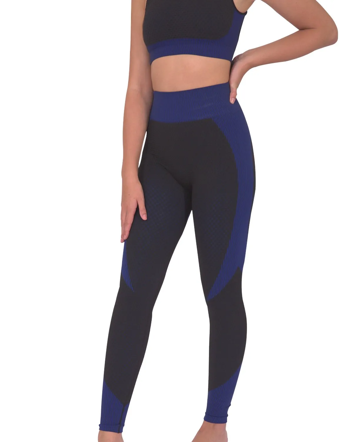 Lazurite Seamless Sportswear/Yoga Leggings For Women - Black with Navy