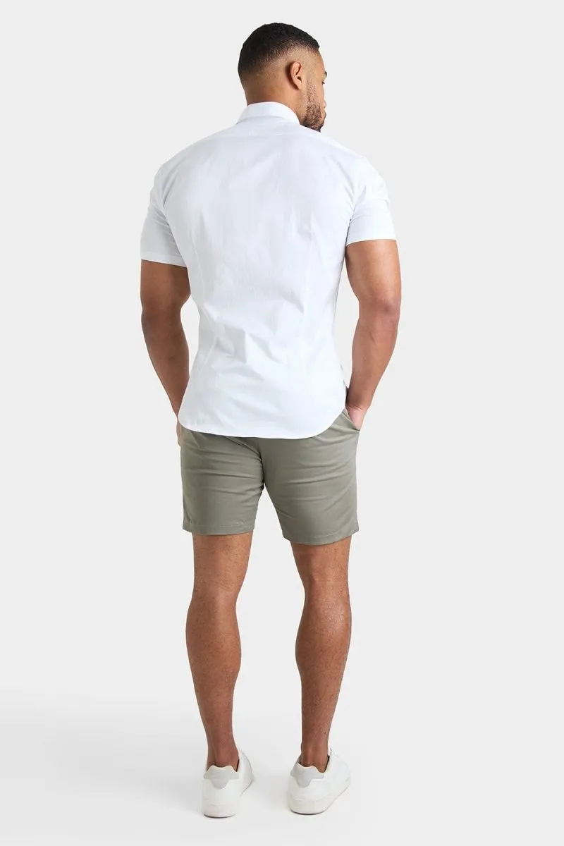 Muscle Fit Chino Shorts in Sage