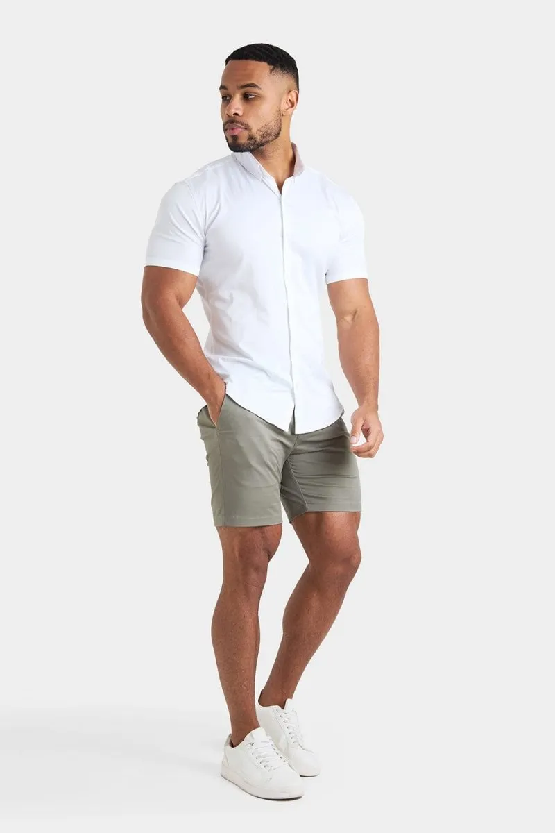 Muscle Fit Chino Shorts in Sage
