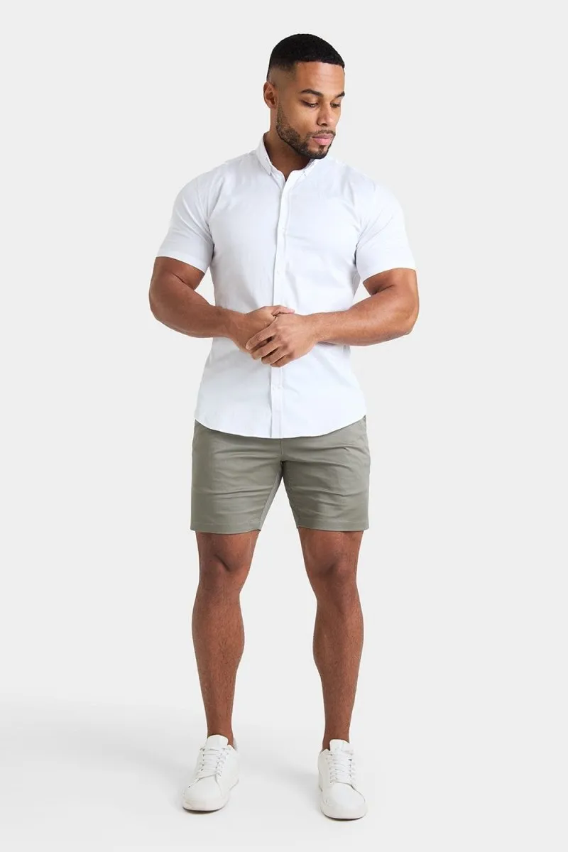 Muscle Fit Chino Shorts in Sage