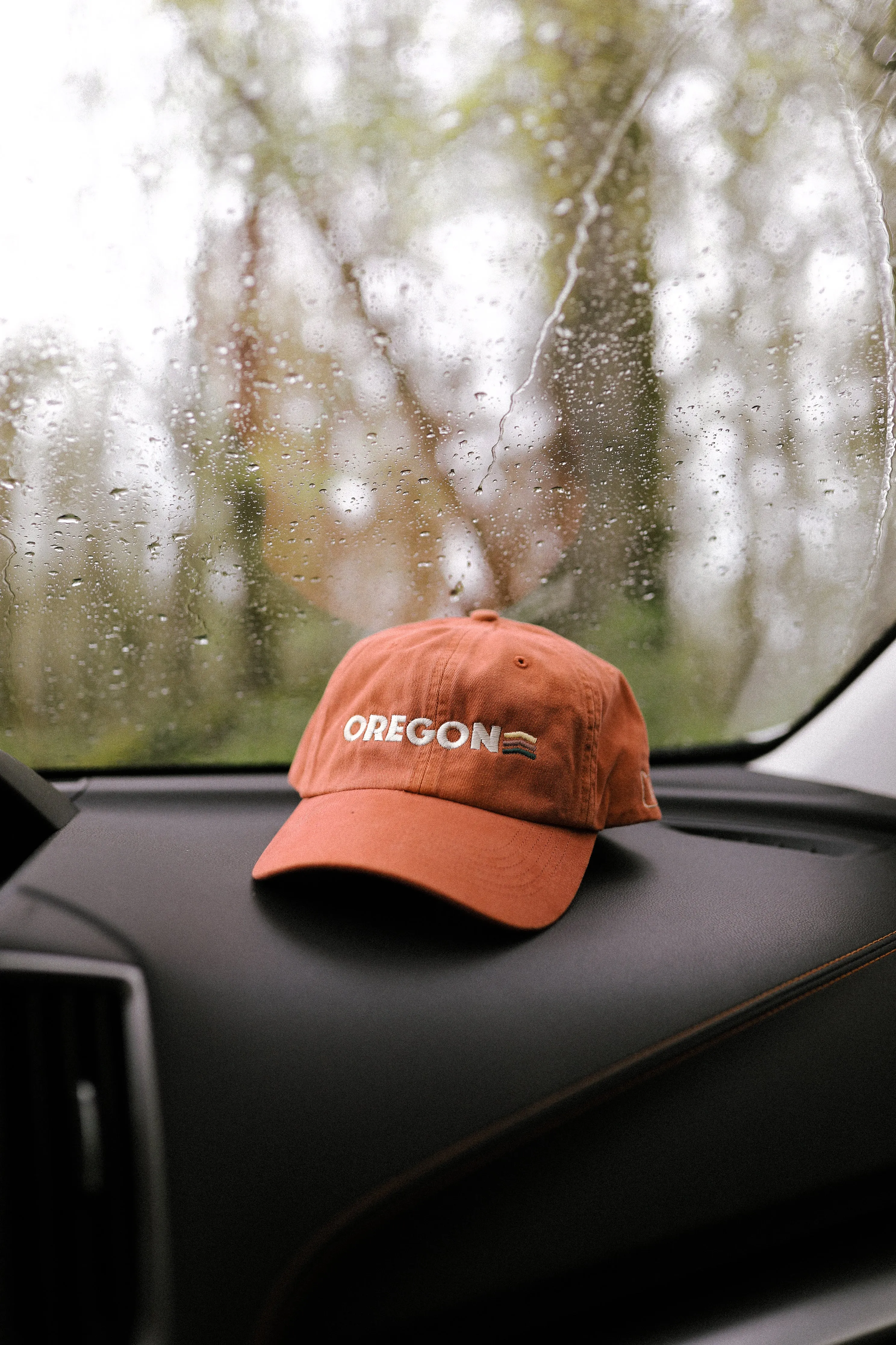 PNW Sisters Vintage Dad Hat