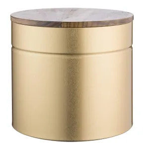 Typhoon Modern Kitchen Bread Bin, 3-Quart Gold Metallic Canister with Acacia Wood Lid, Airtight Seal Keeps Contents Fresh